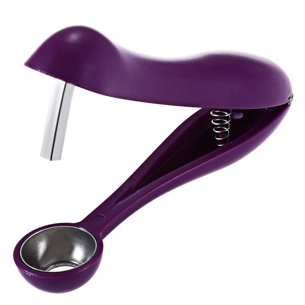 Tegoni Fruit Seed Remover Tool