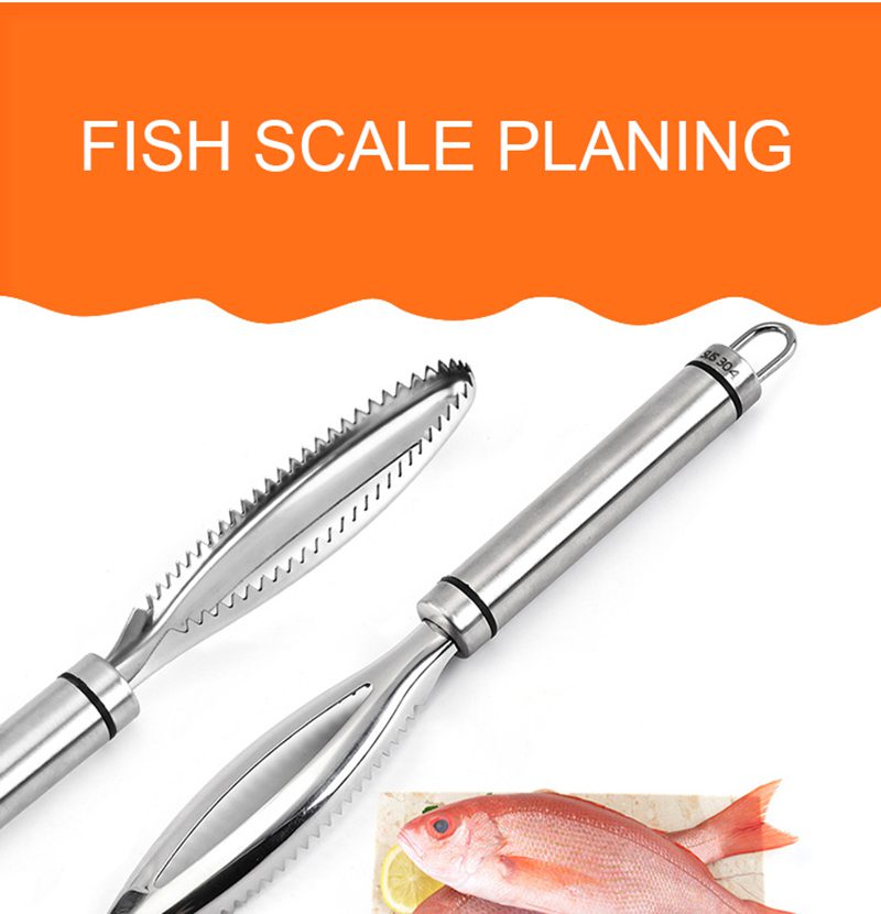 Cleaning Fish Scale N797