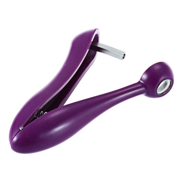 Tegoni Fruit Seed Remover Tool - Image 2