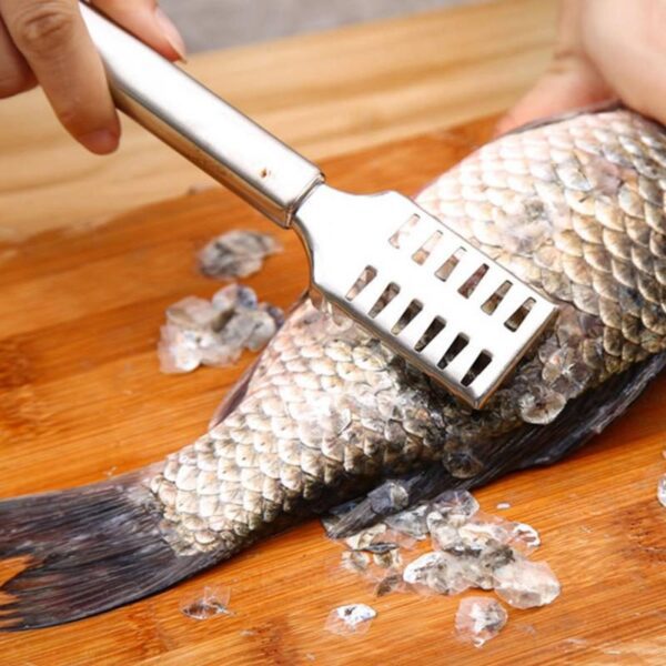 TEAEGG YH-459929 Fish Scale Remover - Image 3