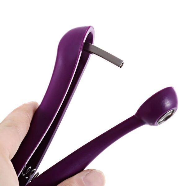 Tegoni Fruit Seed Remover Tool - Image 3