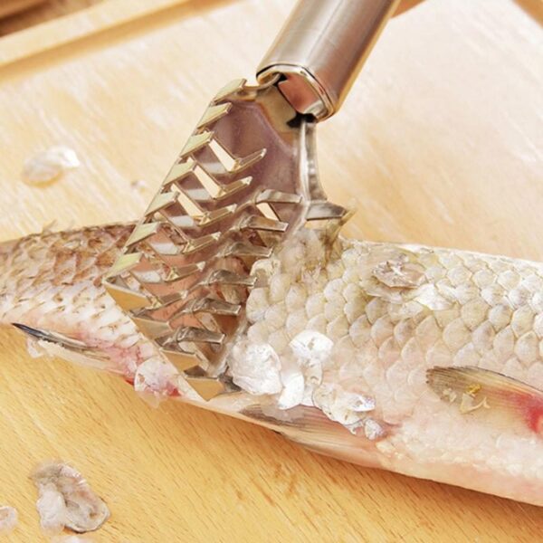 TEAEGG YH-459929 Fish Scale Remover - Image 4