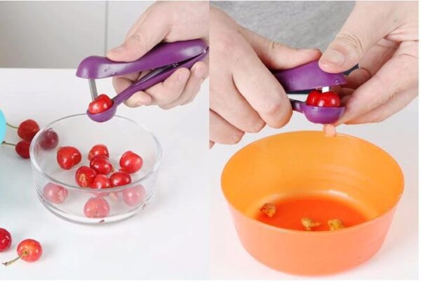 Tegoni Fruit Seed Remover Tool - Image 4