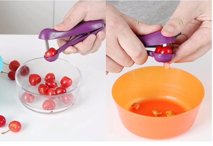 Tegoni Fruit Seed Remover Tool