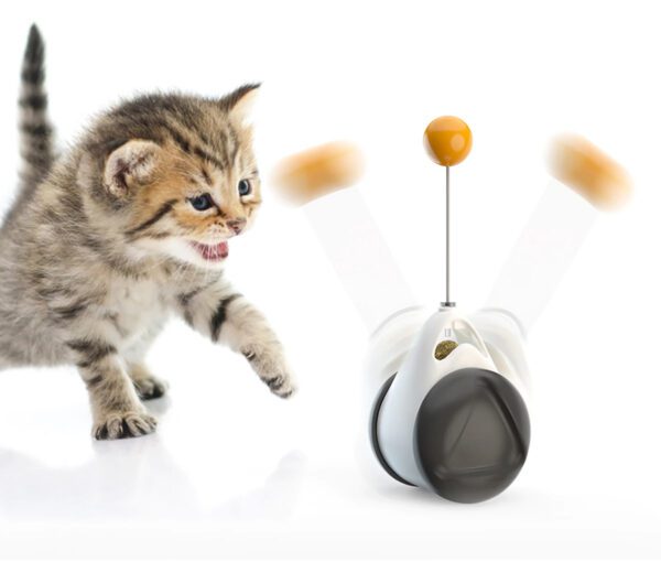 LOHUAHUA Tumbler Swing Toys for Cats