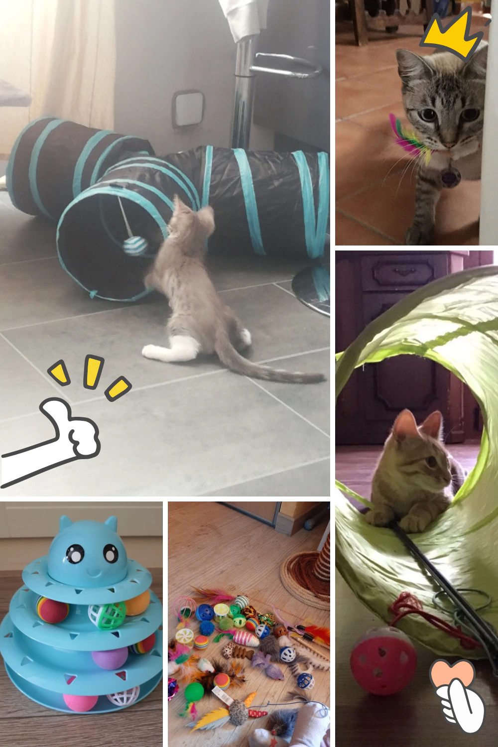 Cat Toy Bundle Set play