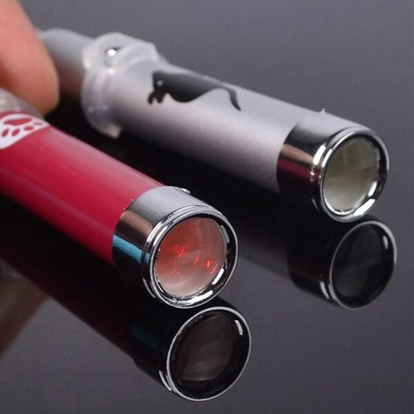 HY19011201 Cat Laser Pointer Toy - Image 2