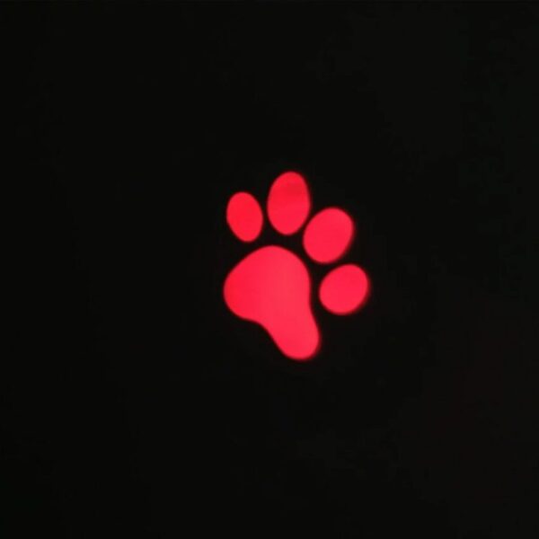 HY19011201 Cat Laser Pointer Toy - Image 3