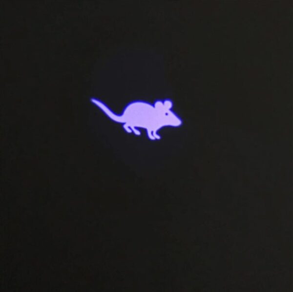 HY19011201 Cat Laser Pointer Toy - Image 4