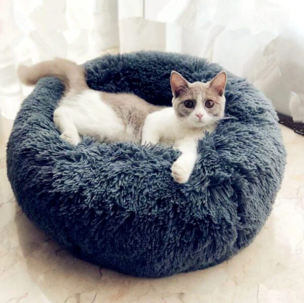 Cat Beds House Sleeping Sofa