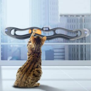 EZ Mount Cat Ball Toy Sucker Track