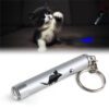 Cat Laser Pointer Toy