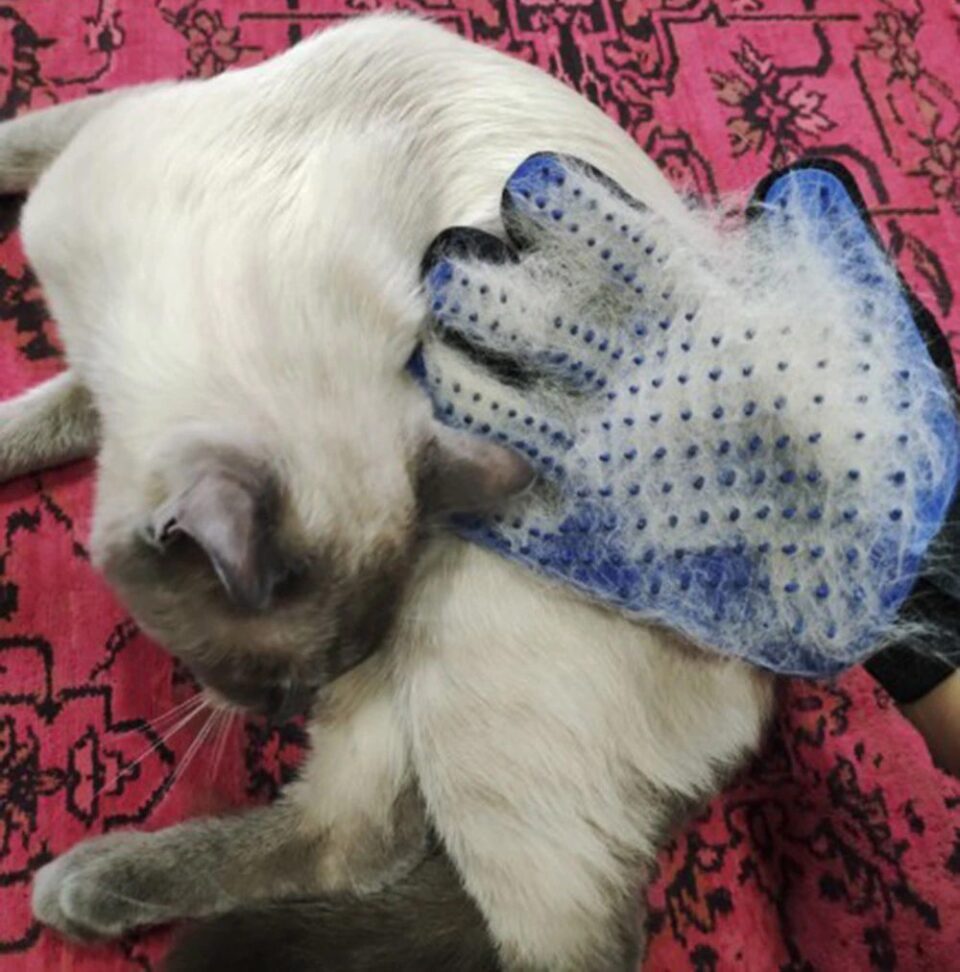 Cat Hair Removal Gloves