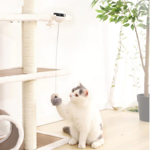 Automatic Lifting Motion Cat Toy - Image 6