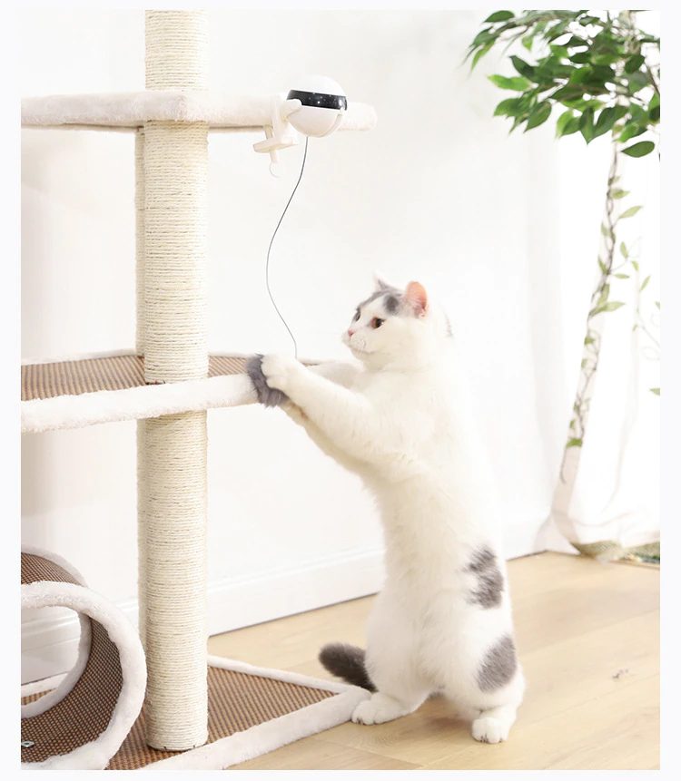 Automatic Lifting Motion Cat Toy