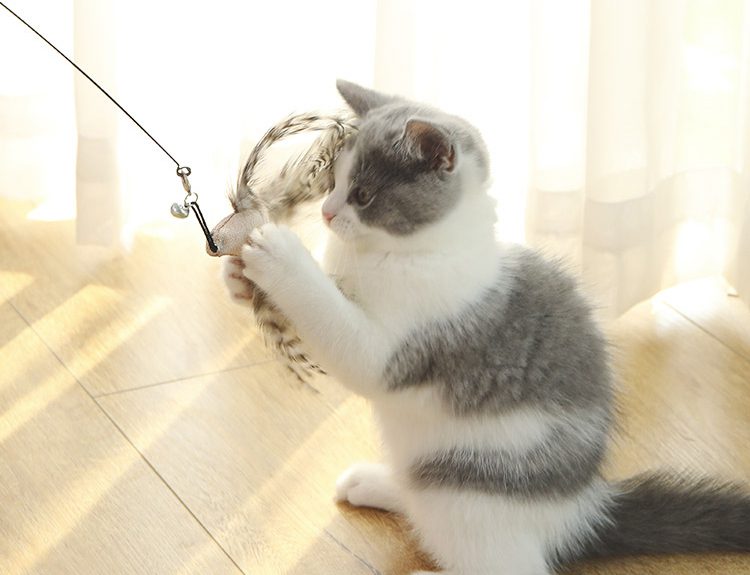 Bird Interactive Cat Toy Funny