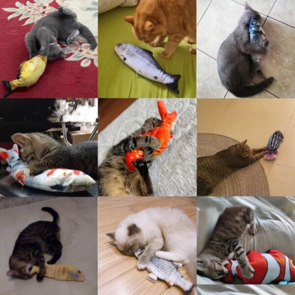 Electric Simulation Fish Catnip Toy - Image 2