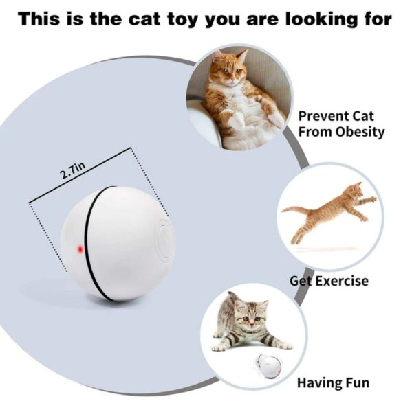 JIMITU Self Rotating Roll Ball With Light Cat Toy - Image 5