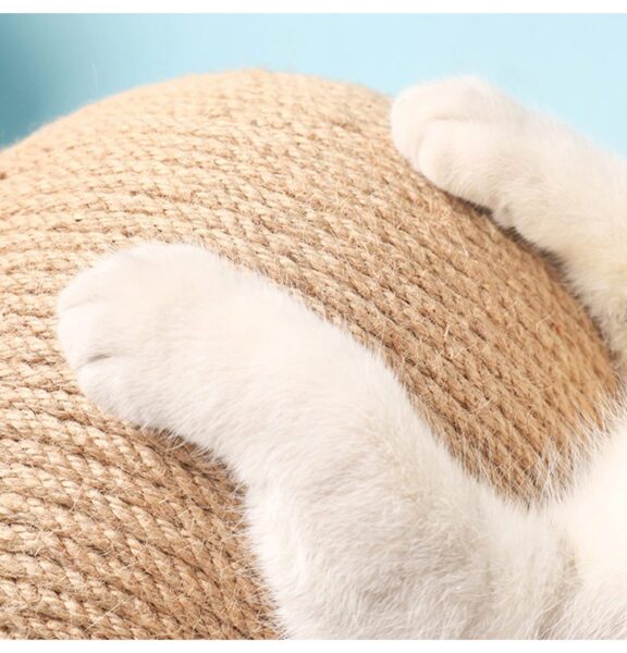Cat Scratching Ball Toy - Image 4