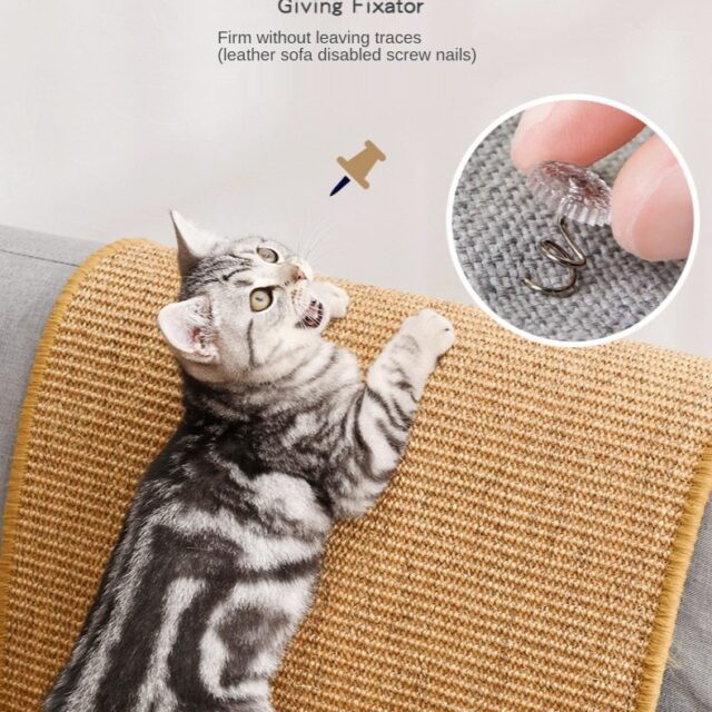 Cat Scratcher Sisal Mat Board