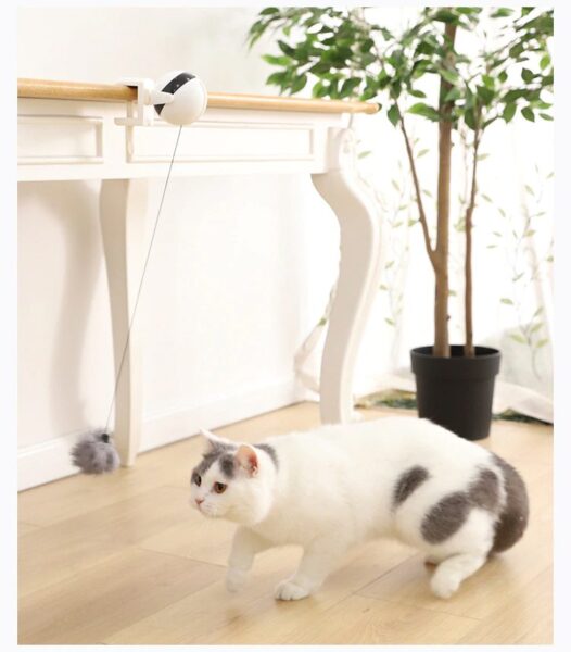 Automatic Lifting Motion Cat Toy