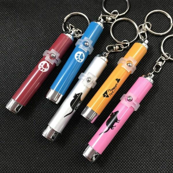 HY19011201 Cat Laser Pointer Toy - Image 5