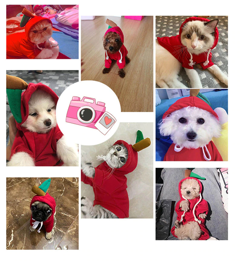 WJM0010 Dog Fruit Costume Coat Red