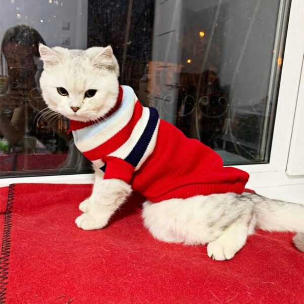 WJC1325 Knitting Dog Sweater - Image 3