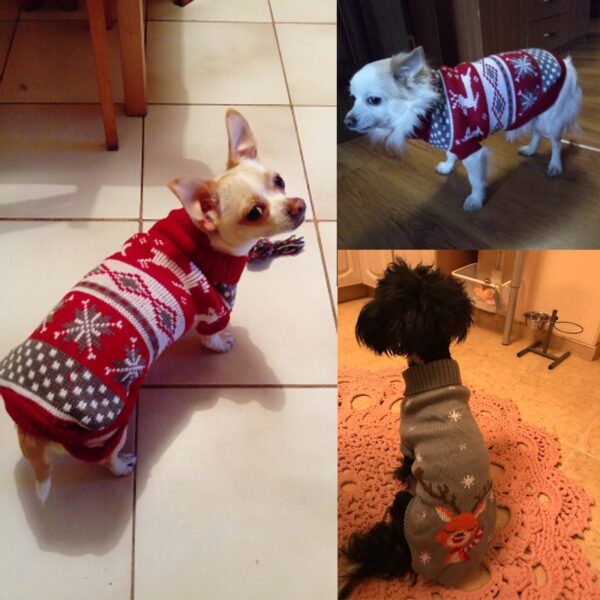 WJC1325 Knitting Dog Sweater - Image 6