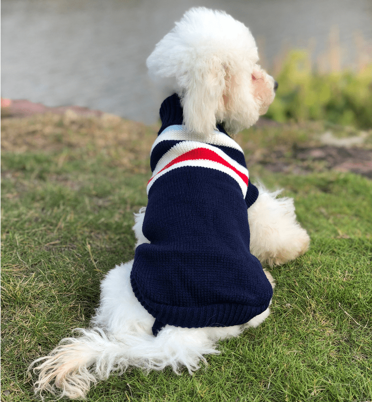 WJC1325 Knitting Dog Sweater Blue White