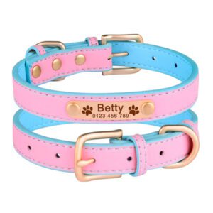 AIRUIDOG Dog Collar