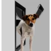 Dedicated Large Pet Door 7