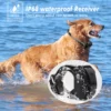 Dog Electric 1