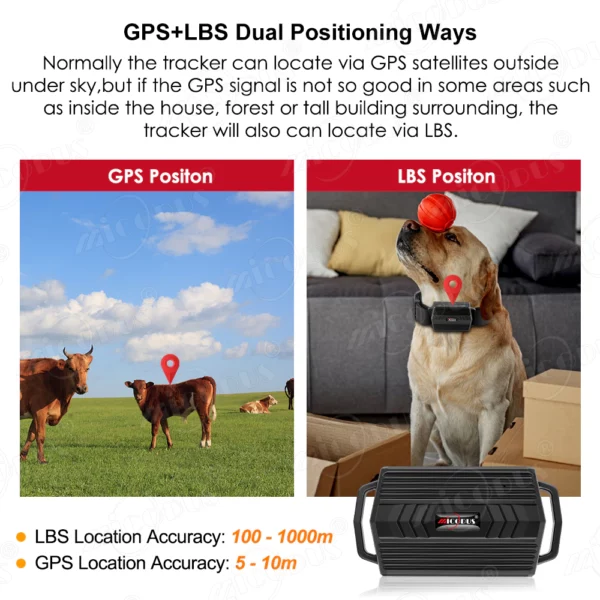Dog For Hound Cow Sheep 3000mAh
