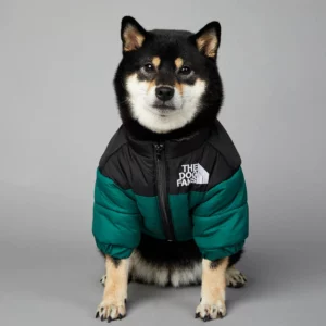 Dog Jacket 10