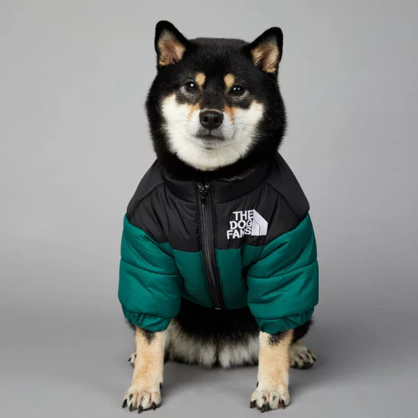 Dog Jacket 10