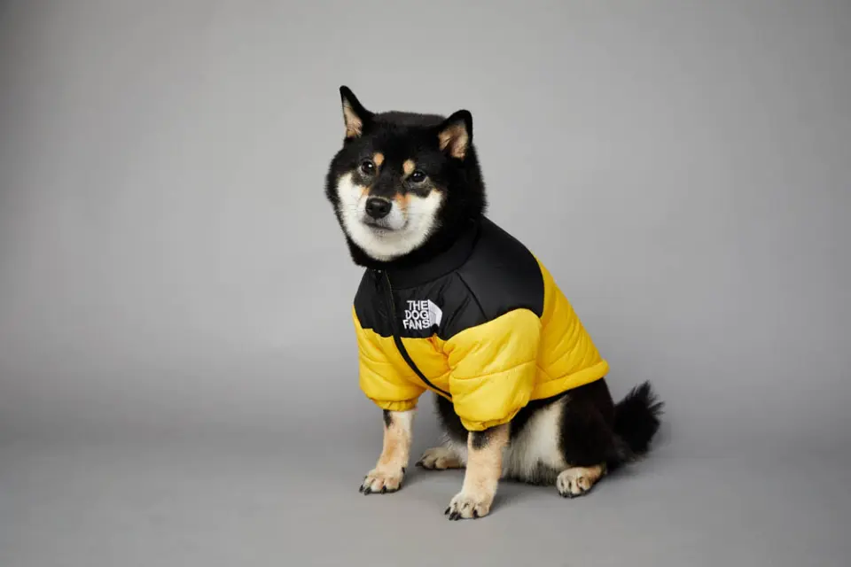 Dog Jacket 11
