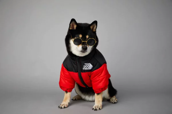 Dog Jacket 3