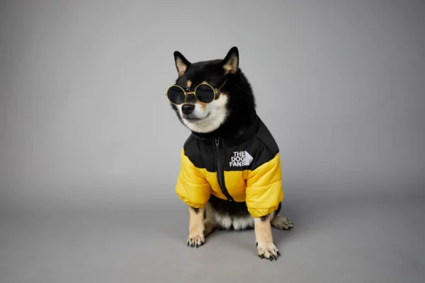 Dog Jacket 4