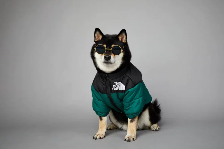 Dog Jacket 5