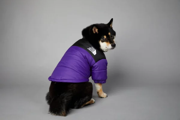 Dog Jacket
