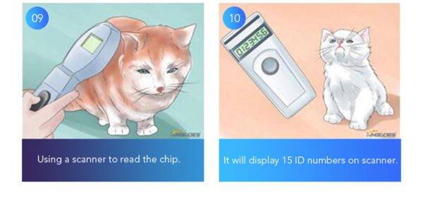 Free shipping 100pcs 134.2KHz dog RFID Glass Chip 1