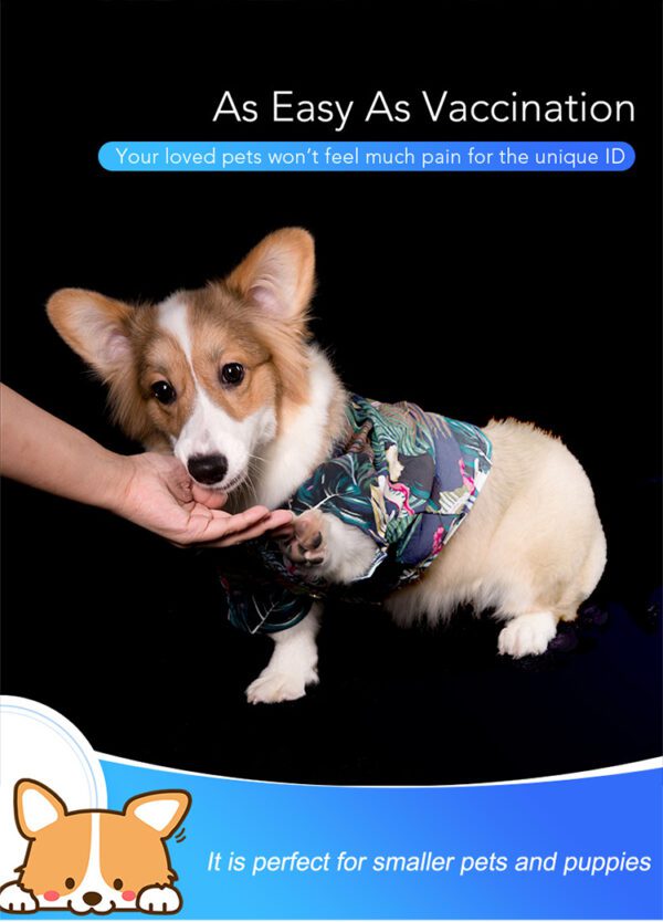 Free shipping 100pcs 134.2KHz dog RFID Glass Chip 4