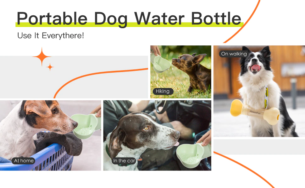 Leak Proof Portable Food Bottle