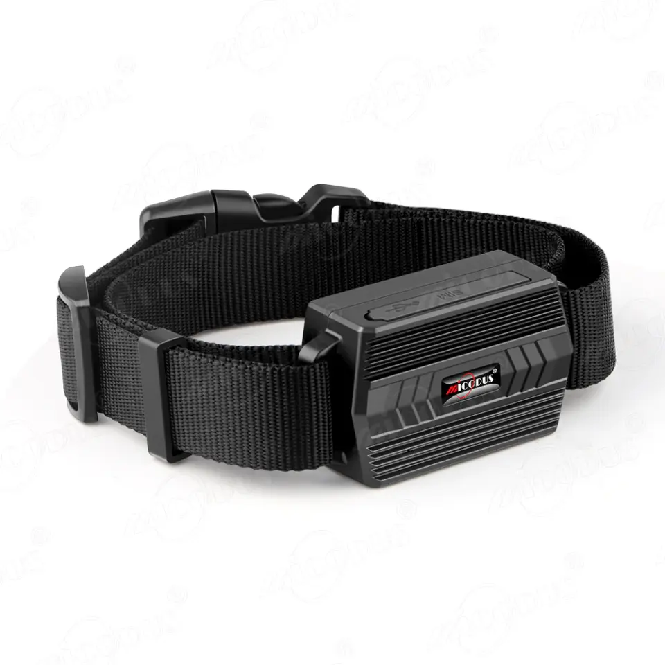MiCODUS GPS Dog