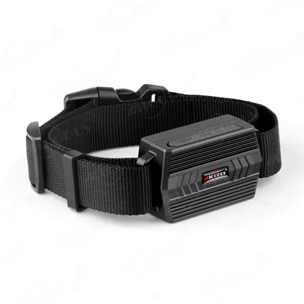 MiCODUS GPS Dog