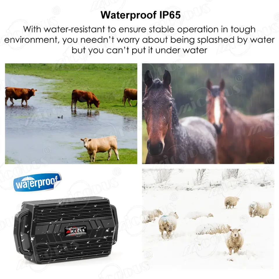MiCODUS GPS Tracker Dog 2