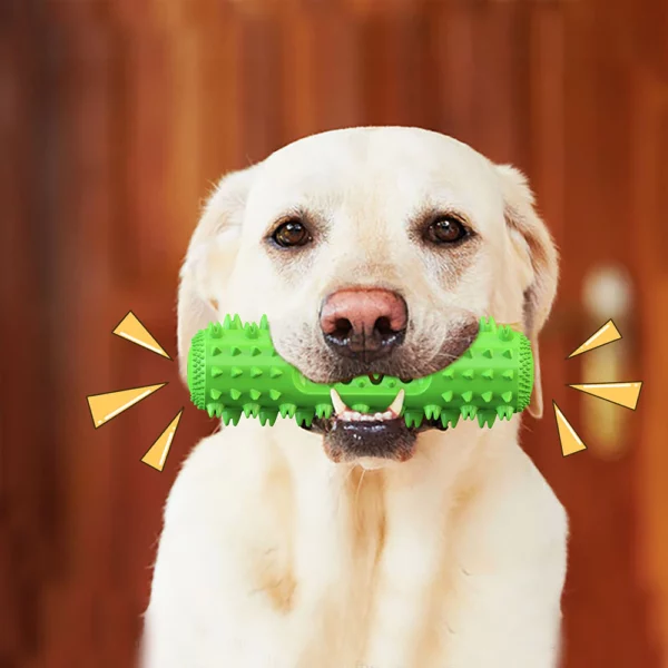 Pet Tooth Cleaning Dog toys 8