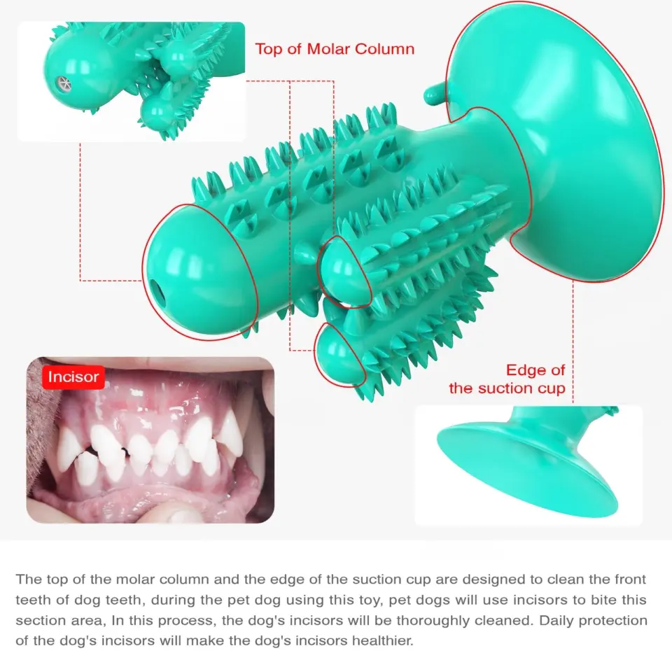 Pet Toys Dog Toothbrush 1