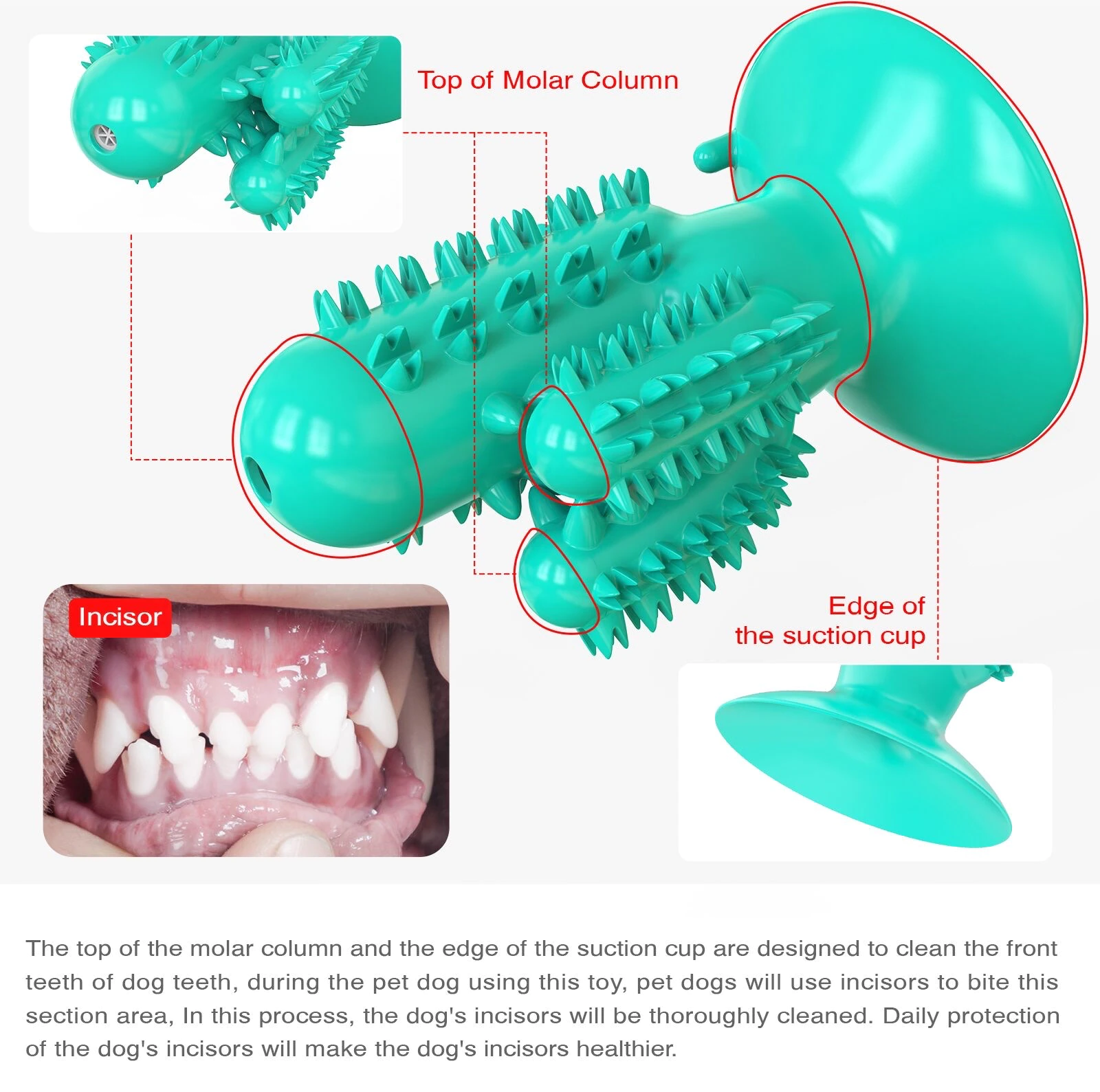 Pet Toys Dog Toothbrush 1